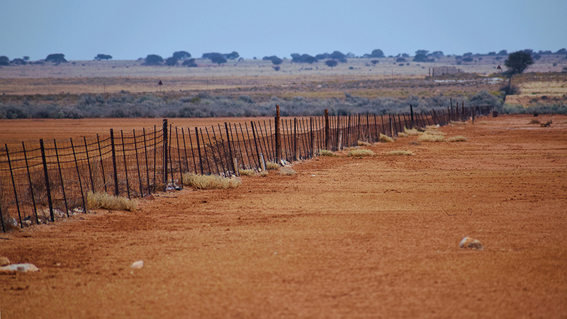 Photo of a fence cutting through a barren landscape