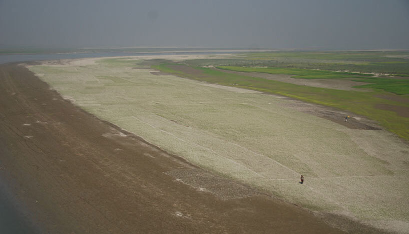 Flood plain island in Brahmaputra, Bangladesch, deserted except for one tiny human figure