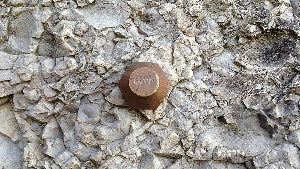 Photo of a golden spike marker in a rock layer (GSSP)