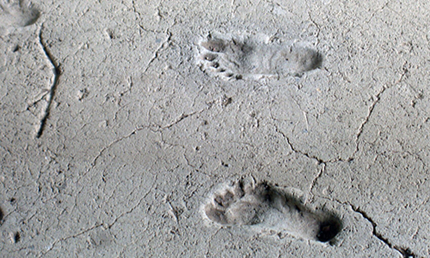 Fossilized human footprints
