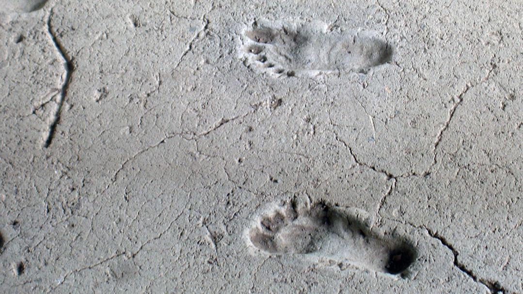 Fossilised human footprints