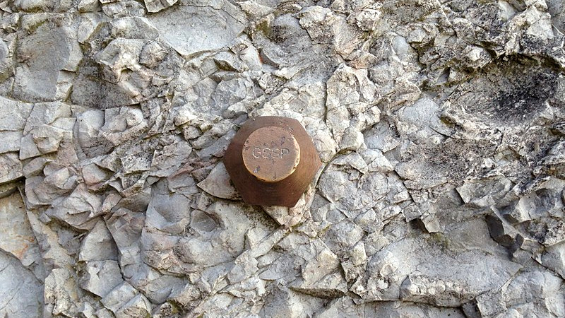 Photo of a golden spike (GSSP) marker in a rock layer