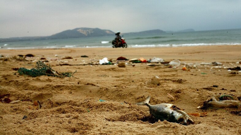 Polluted beach covered with dead fish and plastic waste