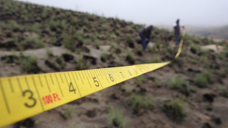 Photo of measuring tape used to survey a natural landscape