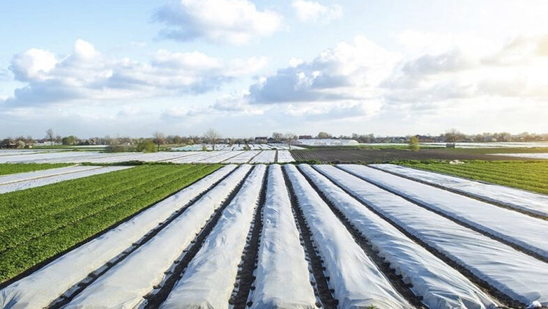 Agricultural fields under plastic covers