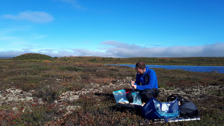 Scientist carrying out fieldwork in a northern landscape