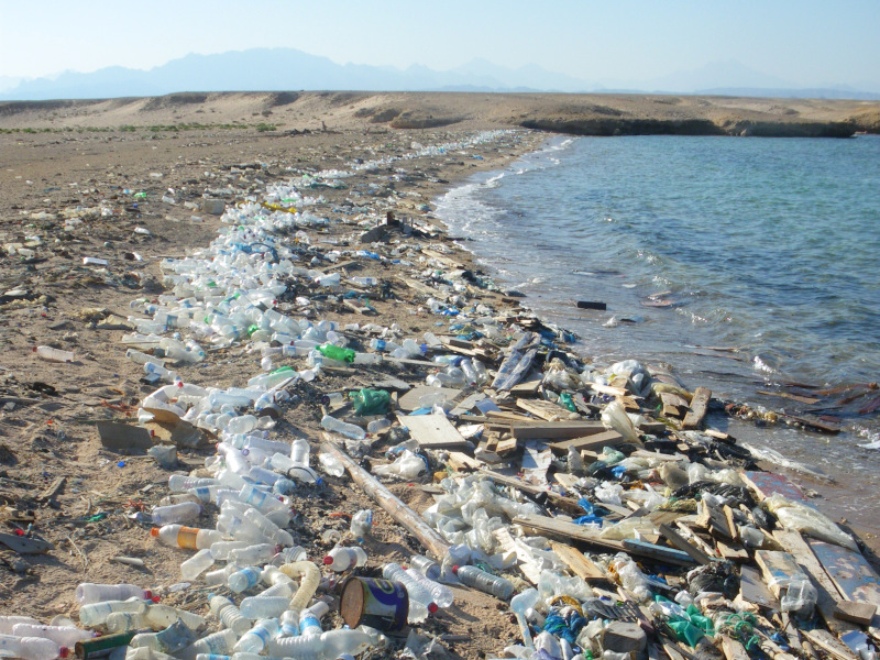 Plastic litter covering a beach